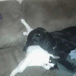 Meet your Posher, Erin